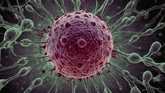 Can You Get Chlamydia from Kissing